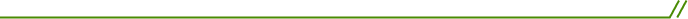 Vector 4 2 1